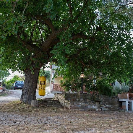 Casa Vacanze Diamante Ogliastro Cilento Buitenkant foto