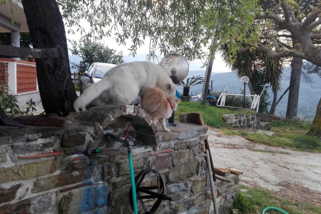 Casa Vacanze Diamante Ogliastro Cilento Buitenkant foto